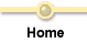 Home button