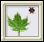 صفحة الخنفساء icon