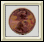 Coin Tossing icon
