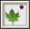 Ladybug Leaf icon