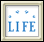 康韦的生命游戏 icon