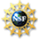 美国国家科学基金会徽标
